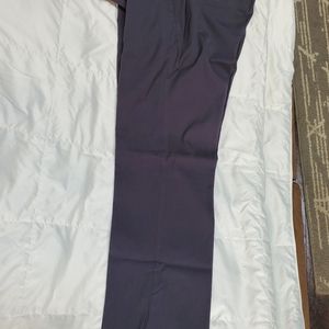 Dress pants